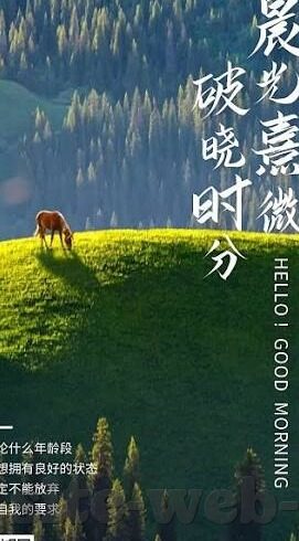 开云平台登录-在云端畅游，开云平台的高效便捷登录体验